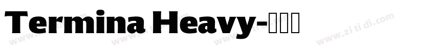 Termina Heavy字体转换